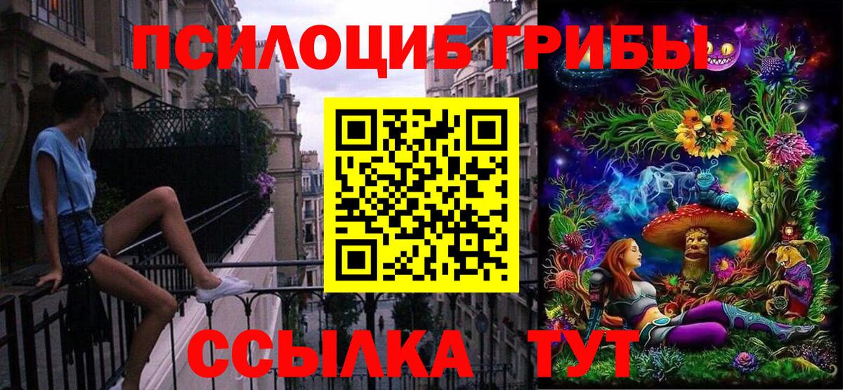 Галлюциногенные грибы Psilocybine cubensis Калуга