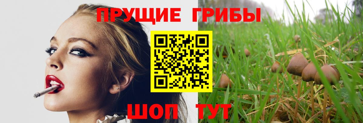 Калуга  что такое   Вход с VPN  Псилоцибиновые грибы ЛСД 